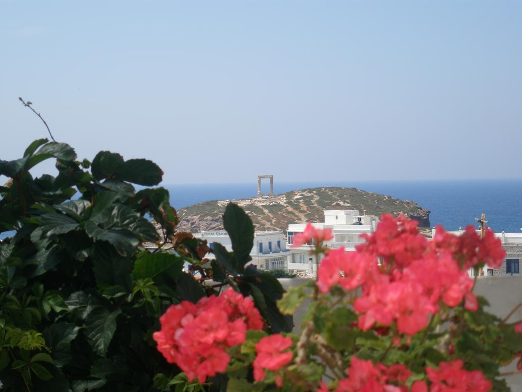 Chateau Zevgoli Naxos City 外观 照片